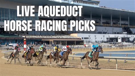 aqueduct horse racing|live racing today aqueduct.